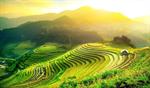 Tour Hà Giang - Sa Pa - Fansipan
